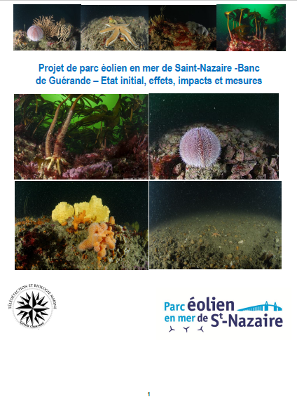 Couverture du rapport