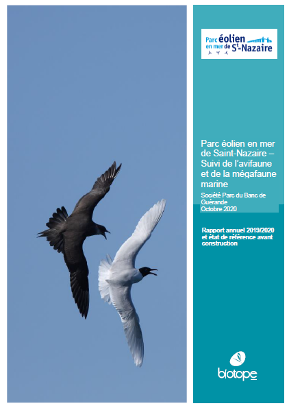 Couverture du rapport