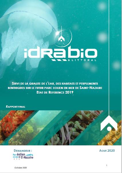 Couverture du rapport