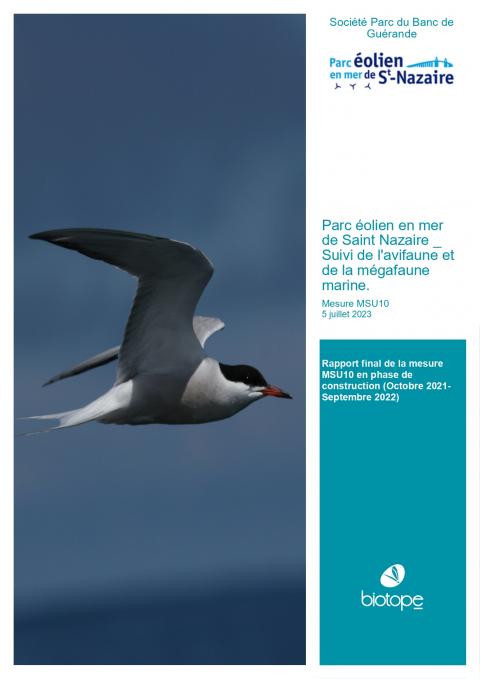 Couverture du rapport montrant une sterne arctique