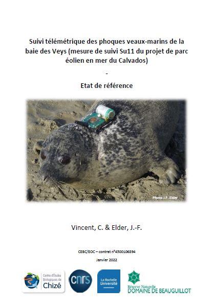 Couverture du rapport