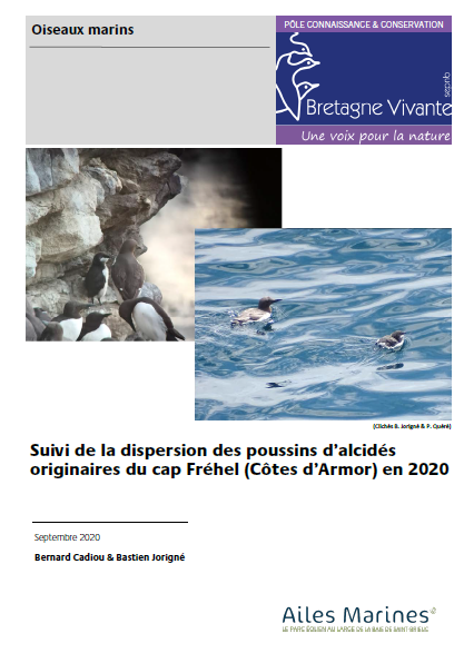 Couverture du rapport montrant des alcidés et leur poussin