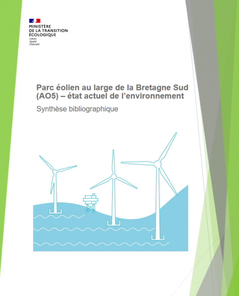 Page de couverture de la synthèse avec une infographie d'éoliennes flottantes