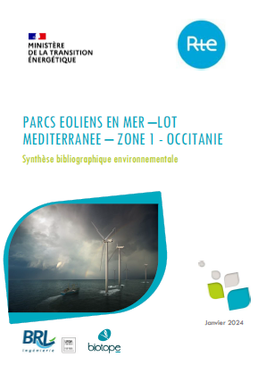 Page de couverture de la synthèse montrant un parc éolien en mer