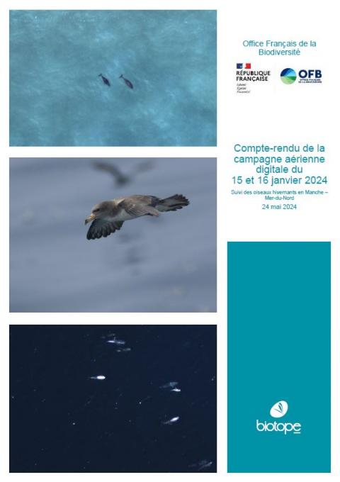 Page de couverture du rapport