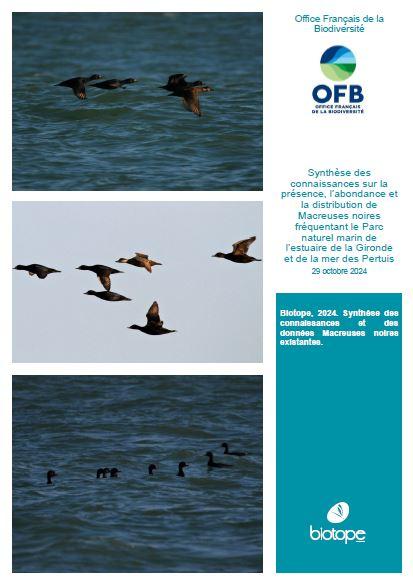 Page de couverture du rapport