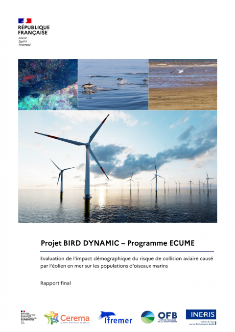 Couverture du rapport montrant des éoliennes en mer
