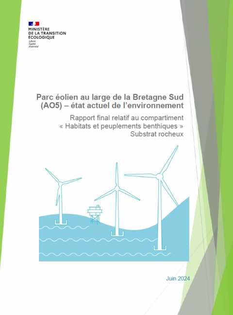 Page de couverture montrant des éoliennes en mer