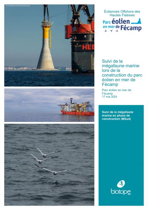 Couverture du rapport montrant l'installation d'une fondation gravitaire et des oiseaux marins