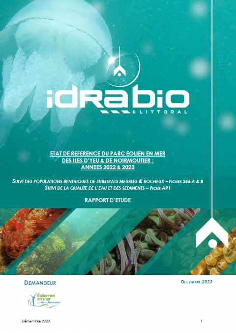 Couverture du rapport
