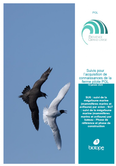 Couverture du rapport montant des oiseaux marins