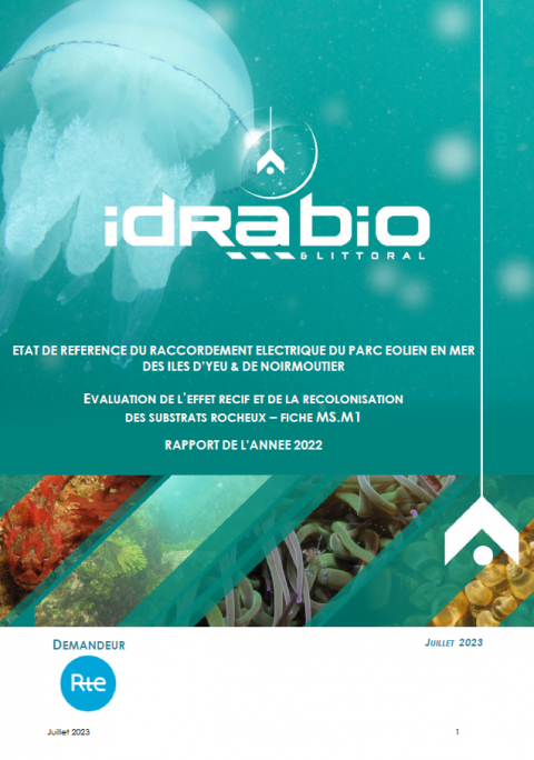 Couverture du rapport