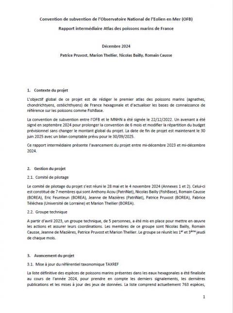 Première page du rapport