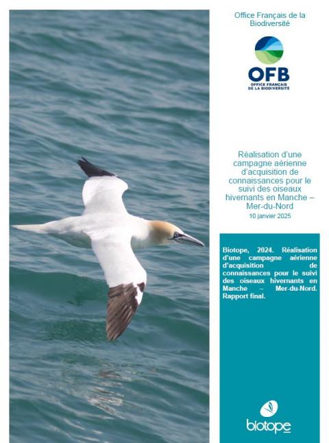 Page de couverture du rapport