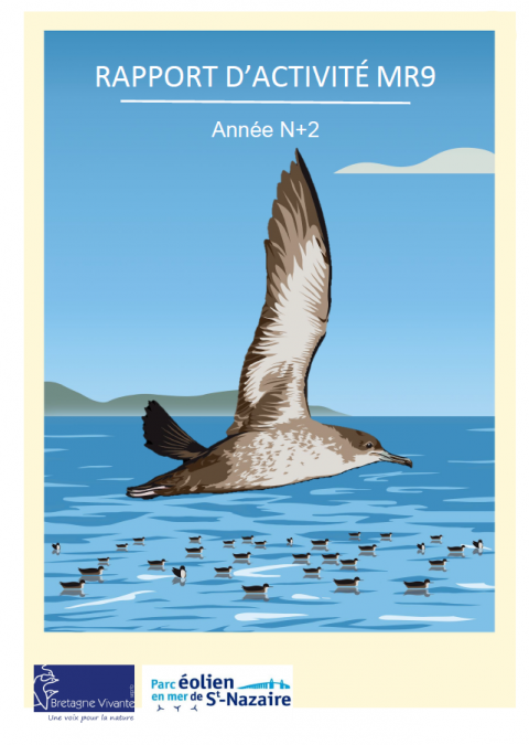 Couverture du rapport d'activité présentant un dessin de puffin des Baléares en vol