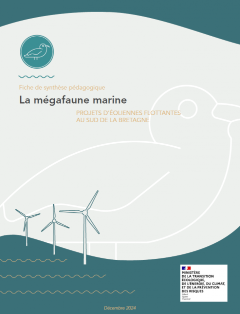 Page de couverture de la fiche montrant une infographie d'éoliennes en mer