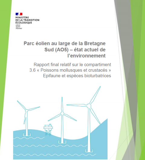 Page de couverture du rapport montrant une infographie d'éoliennes en mer