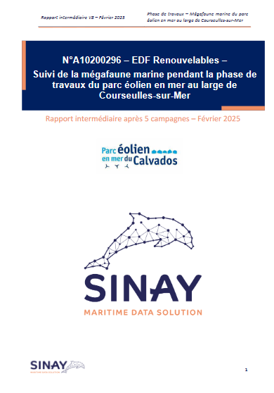 Page de couverture du rapport