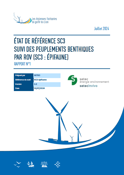 Couverture du rapport