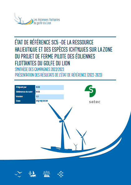 Couverture du rapport