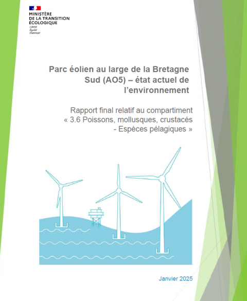 Page de couverture montrant des éoliennes en mer