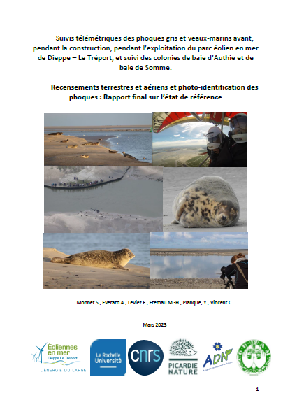 Couverture du rapport montrant des phoques et des opérations de recensement