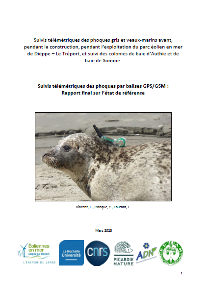 Couverture du rapport montrant un phoque équipé d'une balise télémétrique