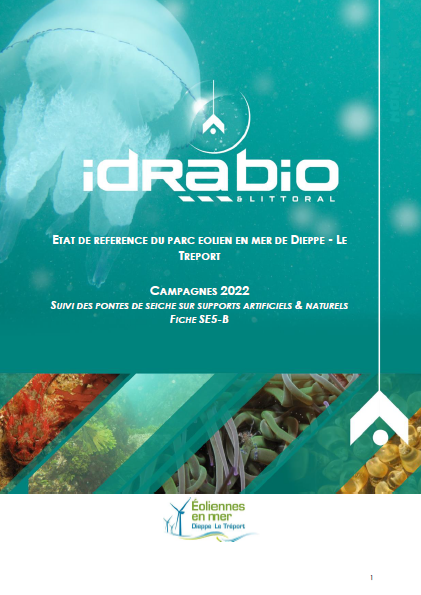 Couverture du rapport