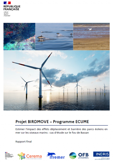 Page de couverture du rapport montrant des éoliennes en mer