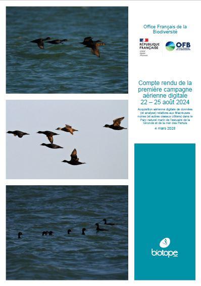 Page de couverture du rapport