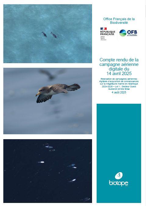 Page de couverture du rapport