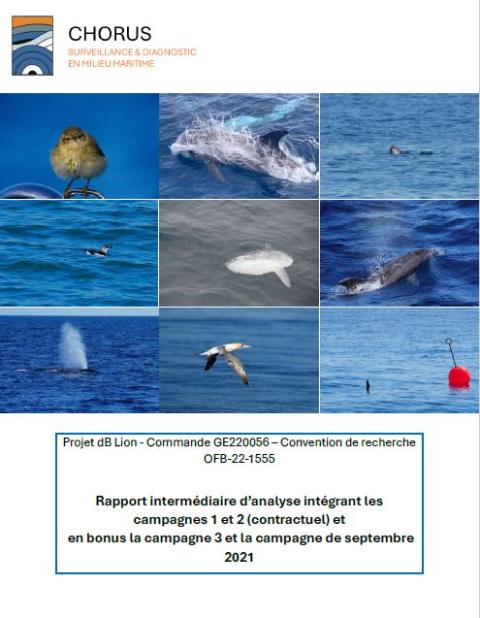 Page de couverture du rapport