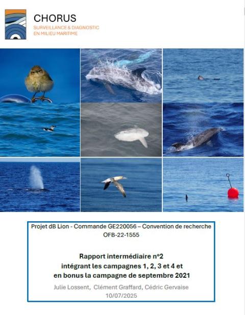Page de couverture du rapport