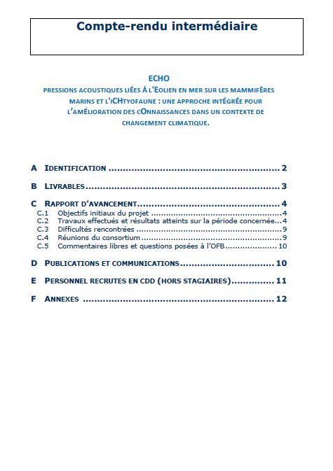 Première page du rapport