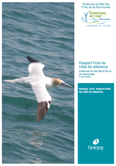 Couverture du rapport montrant un fou de Bassan en vol