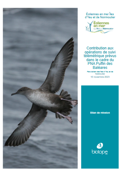 Couverture du rapport montrant un puffin des Baléares en vol