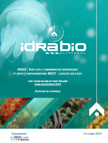 Couverture du rapport