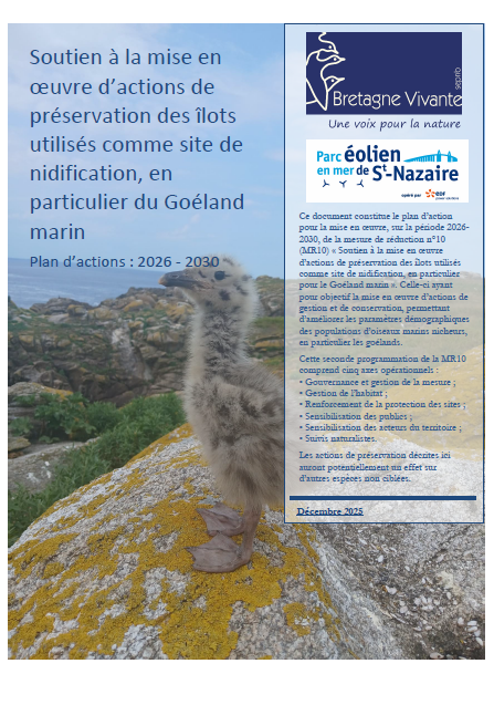 Couverture du plan d'action montrant un poussin de goéland