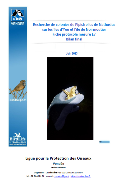 Couverture du document monrant une main gantée capturant une pipistrelle