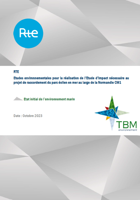 Couverture du rapport