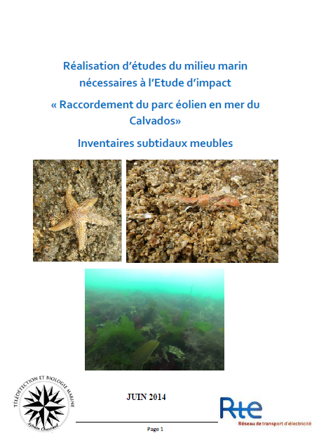 Couverture du rapport montrant divers organismes benthiques