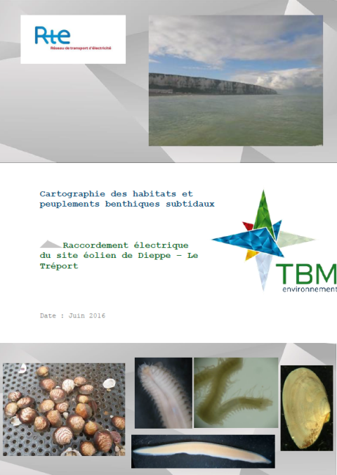 Couverture du rapport montrant diverss espèces benthiques