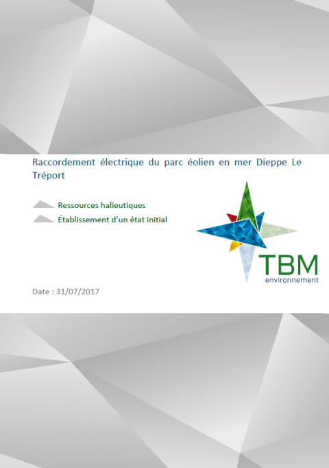 Couverture du rapport