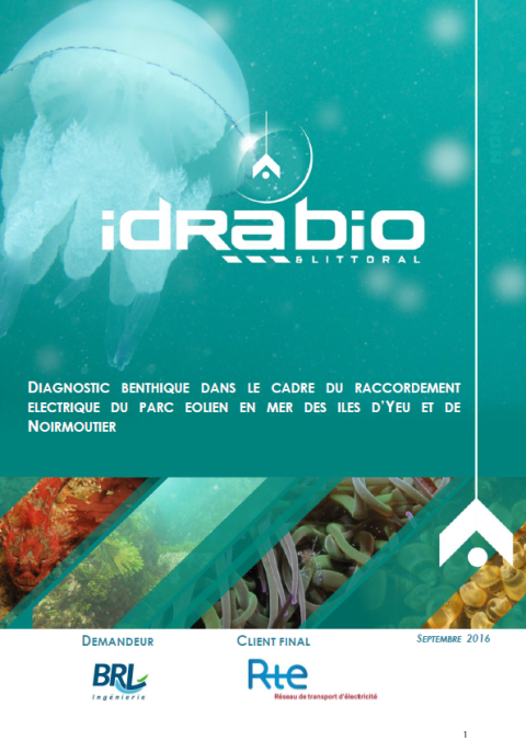 Couverture du rapport