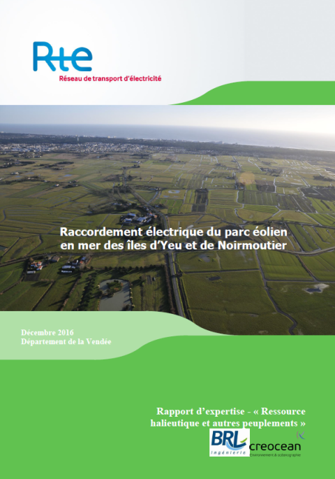 Couverture du rapport