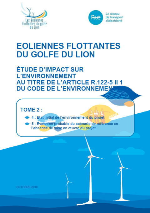 Couverture du rapport