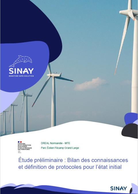 Page de couverture de la synthèse avec des images d'éoliennes