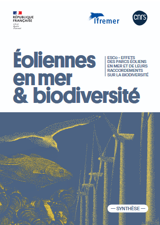 Page de couverture 