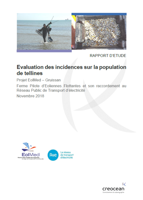 Couverture du rapport montrant un pêcheur de telline et un bac contenant des tellines