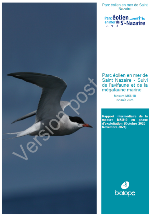 Couverture du rapport montrant une sterne arctique